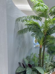 -八佰伴8008星级形象店