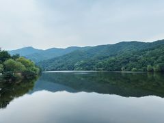 -北京西山国家森林公园