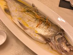 -金陵精菜馆