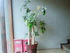 -熙盛源(苏苑街店)