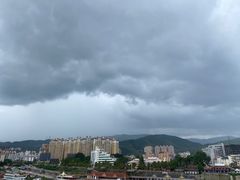 -西双版纳原始森林公园