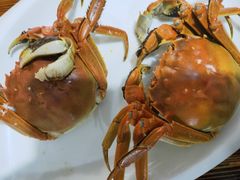 -巢湖名吃·徽府农家菜(半汤店)