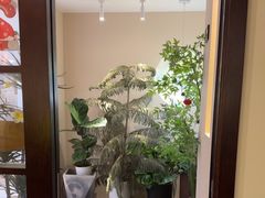 -Lazy Time Massage南亚按摩小馆(大悦城店)