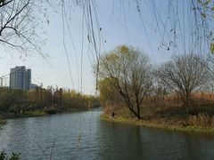 -新江湾城公园