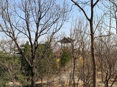 -北京鹫峰国家森林公园
