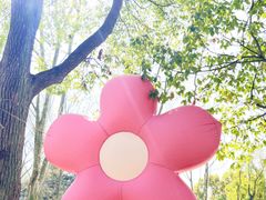 -上海共青森林公园