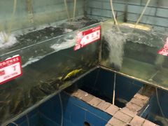 -野山舂·贵州现舂酸汤火锅(鸿通城店)