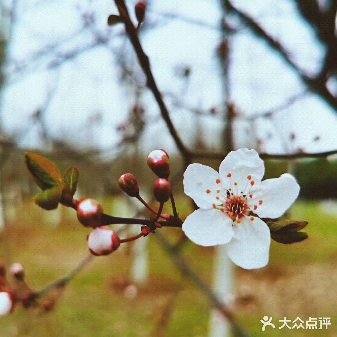 大蜀山森林公园