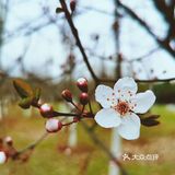 大蜀山森林公园