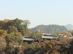-少华山国家森林公园