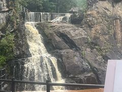 -茅兰沟国家森林公园
