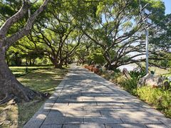 -江心屿景区