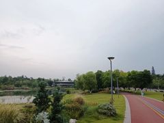 -桂溪生态公园