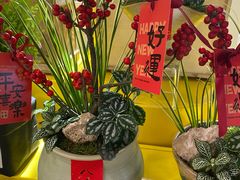 -成都仁和新城购物中心