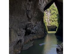 -贵州百里杜鹃风景名胜区