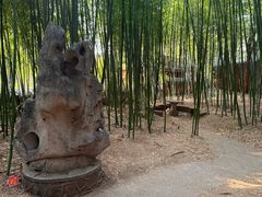 -泰山风景名胜区-普照寺