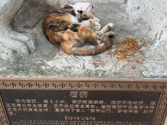 -宝通禅寺