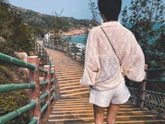 -广东惠东海龟国家级自然保护区