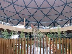 -上海滴水湖皇冠假日酒店