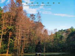 -云溪植物园
