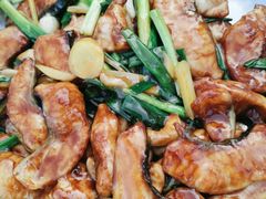 姜葱焖鸭嘴鱼-鲤鱼塘农家山庄