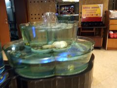-稻香酒家·34年老字号·港式粤菜(侨光店)