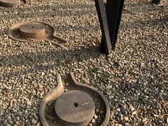 -桉树林A coffee 森林餐厅(三圣乡店)