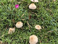 -船梆煮•蒸汽海鲜·生腌干蒸(五四广场店)