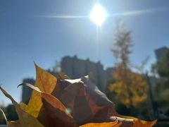 -汉巴味德自助餐厅(嘉定宝龙广场店)