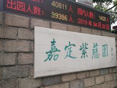 -嘉定紫藤园
