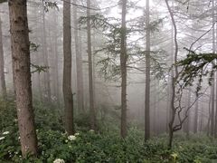 -驼梁风景区