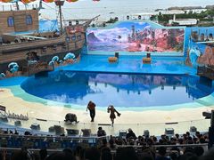 -海合安青岛极地海洋公园