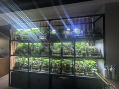 -扶摇湘宴·烤鸭·湘粤宴(中关村·北大店)