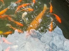 -乌记大厨餐厅