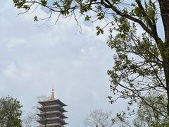 -牛首山文化旅游区