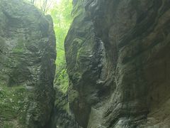 -牛背梁国家森林公园