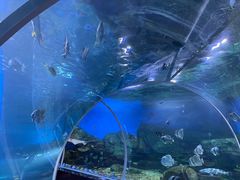 -顺德南宏海立方海洋公园
