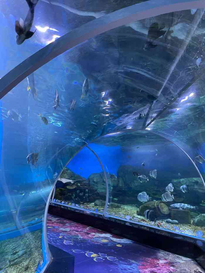 顺德海立方海洋公园-"首先交通很方便,我们坐地铁到广州南站,转.