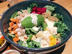 芥子酱羽翼甘蓝沙拉-小大董·烤鸭(凤凰汇店)