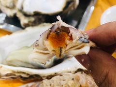 -蚝专家(北滘店)