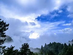-庐山风景区花径公园