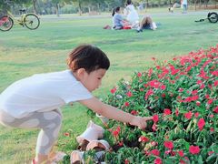 -艾溪湖湿地公园