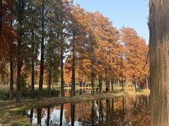 -东湖落雁景区