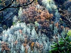 -云蒙山风景区