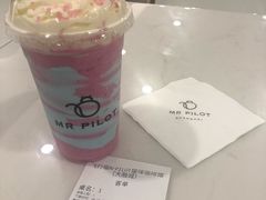 -飞行喵MR PILOT|猫舍·猫咖(静安大融城店)