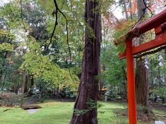 -野宫神社