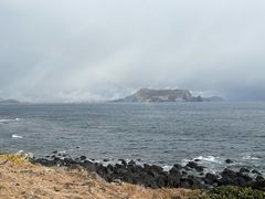 -涉地可支