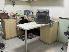 -乐派堂宠物医院·猫友好· 心脏科(东街店)