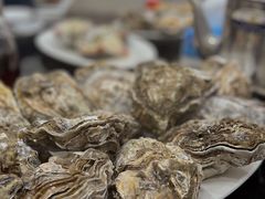-蚝专家(北滘店)