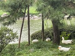 -木塔寺遗址生态公园